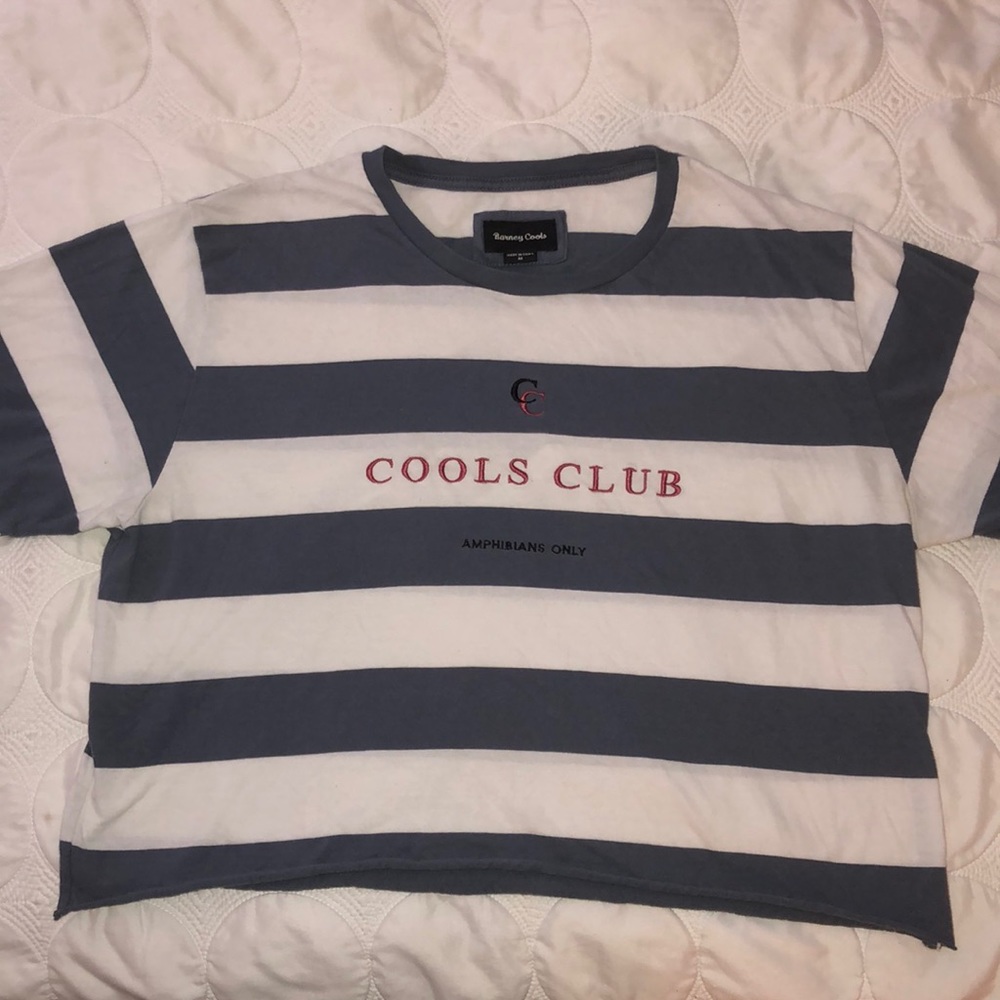 cool striped cropped tee
